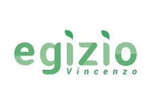 logo Vincenzo Egizio